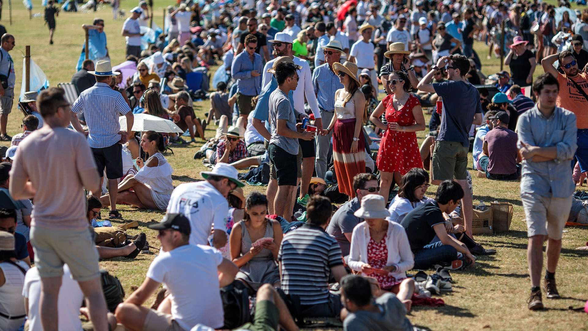 这个说法乍 这个说法乍