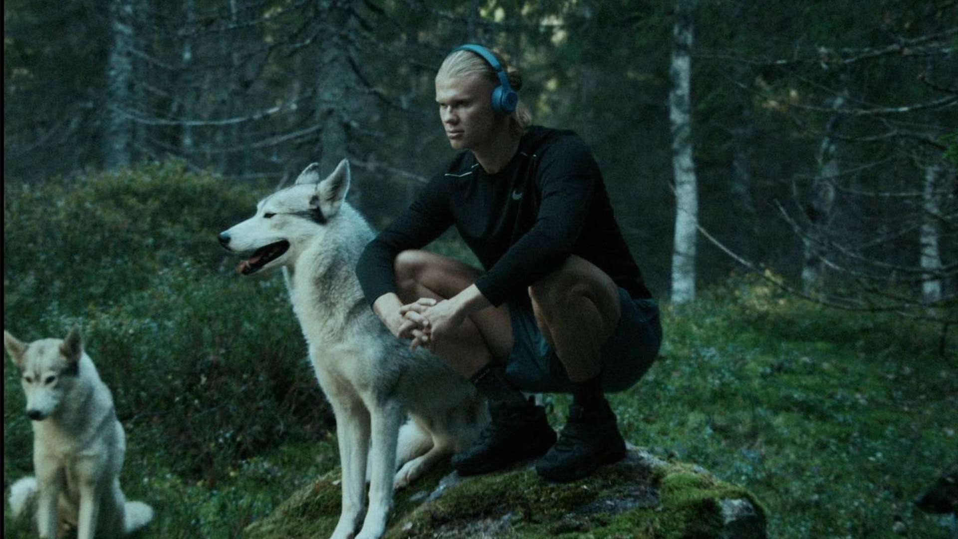 战术和出色 战术和出色